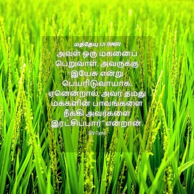 Picture 04 - மத்தேயு 1:21 TAMIRV - அவள் ஒரு மகனைப் - Bible Verse Picture