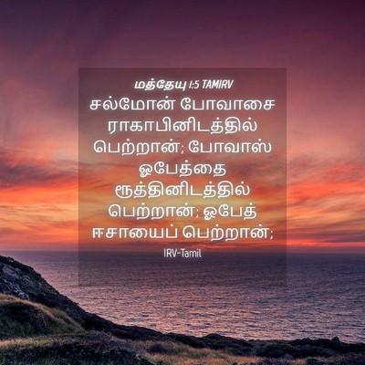 Picture 04 - மத்தேயு 1:5 TAMIRV - சல்மோன் போவாசை - Bible Verse Picture