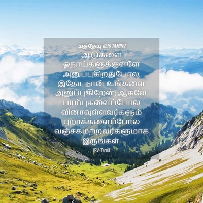 Picture 04 - மத்தேயு 10:16 TAMIRV - ஆடுகளை - Bible Verse Picture