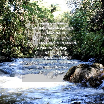 Picture 04 - மத்தேயு 10:17 TAMIRV -  - Bible Verse Picture