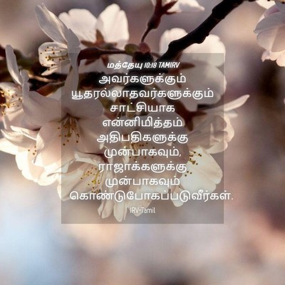 Picture 04 - மத்தேயு 10:18 TAMIRV - அவர்களுக்கும் - Bible Verse Picture