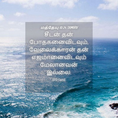 Picture 04 - மத்தேயு 10:24 TAMIRV - சீடன் தன் - Bible Verse Picture