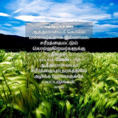 Picture 04 - மத்தேயு 10:28 TAMIRV - ஆத்துமாவைக் கொல்ல - Bible Verse Picture