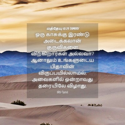 Picture 04 - மத்தேயு 10:29 TAMIRV - ஒரு காசுக்கு - Bible Verse Picture