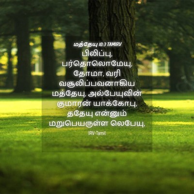 Picture 04 - மத்தேயு 10:3 TAMIRV - பிலிப்பு, - Bible Verse Picture