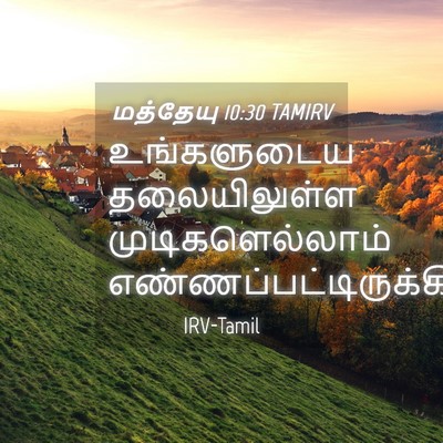 Picture 04 - மத்தேயு 10:30 TAMIRV - உங்களுடைய - Bible Verse Picture