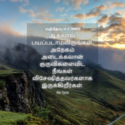 Picture 04 - மத்தேயு 10:31 TAMIRV - ஆதலால், - Bible Verse Picture