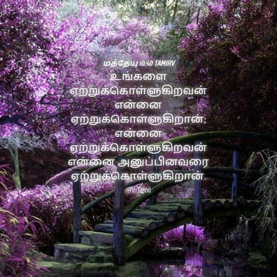 Picture 04 - மத்தேயு 10:40 TAMIRV - உங்களை - Bible Verse Picture