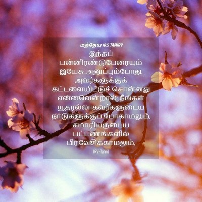 Picture 04 - மத்தேயு 10:5 TAMIRV - இந்தப் - Bible Verse Picture