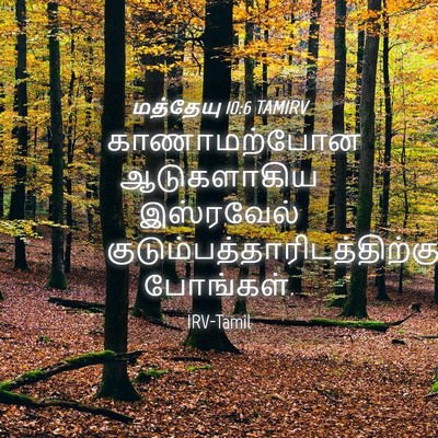 Picture 04 - மத்தேயு 10:6 TAMIRV - காணாமற்போன - Bible Verse Picture