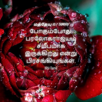 Picture 04 - மத்தேயு 10:7 TAMIRV - போகும்போது, - Bible Verse Picture