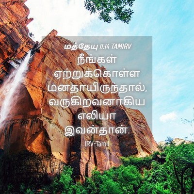 Picture 04 - மத்தேயு 11:14 TAMIRV - நீங்கள் - Bible Verse Picture