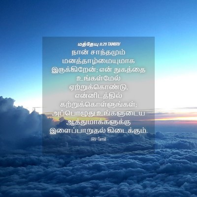 Picture 04 - மத்தேயு 11:29 TAMIRV - நான் சாந்தமும் - Bible Verse Picture