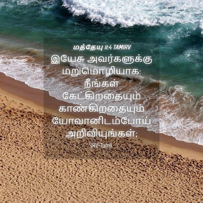 Picture 04 - மத்தேயு 11:4 TAMIRV - இயேசு அவர்களுக்கு - Bible Verse Picture