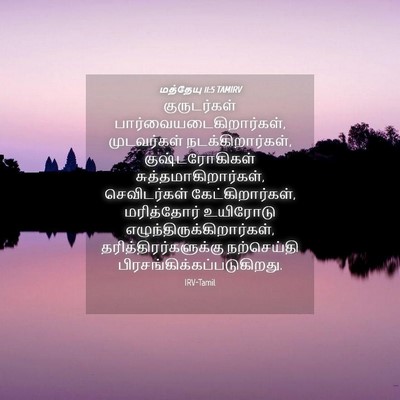 Picture 04 - மத்தேயு 11:5 TAMIRV - குருடர்கள் - Bible Verse Picture