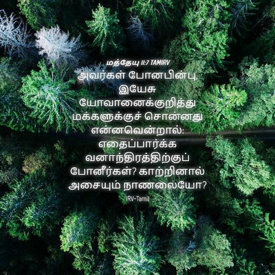 Picture 04 - மத்தேயு 11:7 TAMIRV - அவர்கள் - Bible Verse Picture