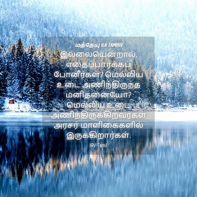Picture 04 - மத்தேயு 11:8 TAMIRV - இல்லையென்றால், - Bible Verse Picture