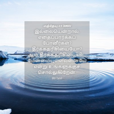 Picture 04 - மத்தேயு 11:9 TAMIRV - இல்லையென்றால், - Bible Verse Picture