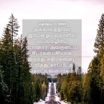 Picture 04 - மத்தேயு 12:1 TAMIRV - அக்காலத்திலே, - Bible Verse Picture