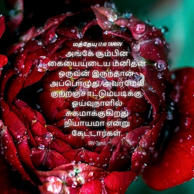 Picture 04 - மத்தேயு 12:10 TAMIRV - அங்கே சூம்பின - Bible Verse Picture