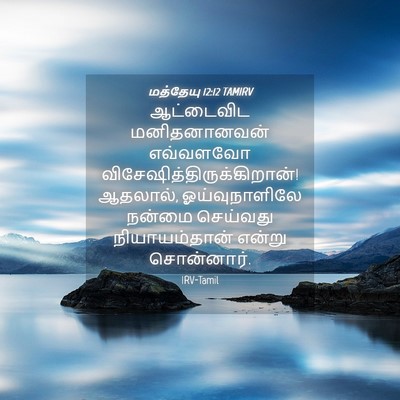 Picture 04 - மத்தேயு 12:12 TAMIRV - ஆட்டைவிட - Bible Verse Picture