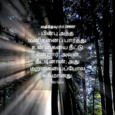 Picture 04 - மத்தேயு 12:13 TAMIRV - பின்பு அந்த - Bible Verse Picture
