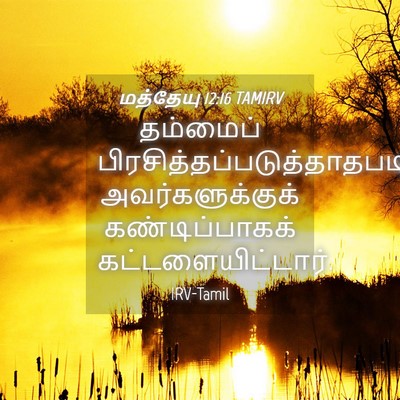 Picture 04 - மத்தேயு 12:16 TAMIRV - தம்மைப் - Bible Verse Picture