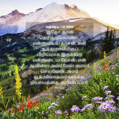 Picture 04 - மத்தேயு 12:18 TAMIRV - “இதோ, நான் - Bible Verse Picture