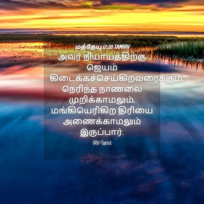 Picture 04 - மத்தேயு 12:20 TAMIRV - அவர் - Bible Verse Picture