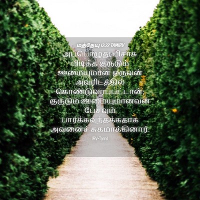 Picture 04 - மத்தேயு 12:22 TAMIRV - அப்பொழுது, பிசாசு - Bible Verse Picture