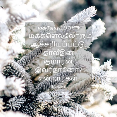 Picture 04 - மத்தேயு 12:23 TAMIRV - மக்களெல்லோரும் - Bible Verse Picture