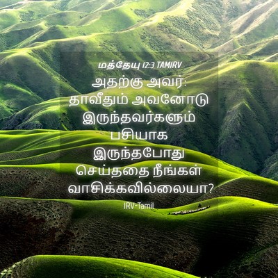 Picture 04 - மத்தேயு 12:3 TAMIRV - அதற்கு அவர்: - Bible Verse Picture