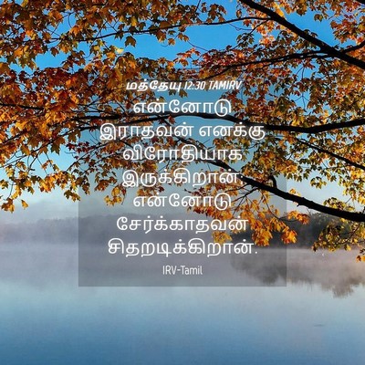 Picture 04 - மத்தேயு 12:30 TAMIRV - என்னோடு இராதவன் - Bible Verse Picture