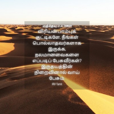 Picture 04 - மத்தேயு 12:34 TAMIRV - விரியன்பாம்புக் - Bible Verse Picture