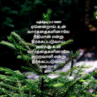 Picture 04 - மத்தேயு 12:37 TAMIRV - ஏனென்றால், உன் - Bible Verse Picture