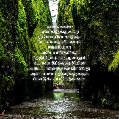 Picture 04 - மத்தேயு 12:39 TAMIRV - அவர்களுக்கு அவர் - Bible Verse Picture