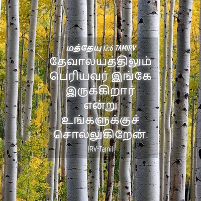 Picture 04 - மத்தேயு 12:6 TAMIRV - தேவாலயத்திலும் - Bible Verse Picture