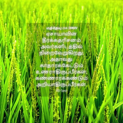 Picture 04 - மத்தேயு 13:14 TAMIRV - ஏசாயாவின் - Bible Verse Picture