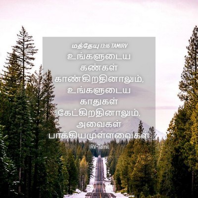Picture 04 - மத்தேயு 13:16 TAMIRV - உங்களுடைய கண்கள் - Bible Verse Picture
