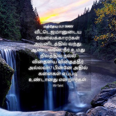 Picture 04 - மத்தேயு 13:27 TAMIRV - வீட்டெஜமானுடைய - Bible Verse Picture