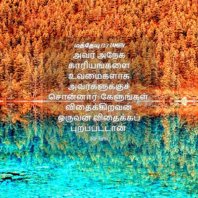 Picture 04 - மத்தேயு 13:3 TAMIRV - அவர் அநேக - Bible Verse Picture