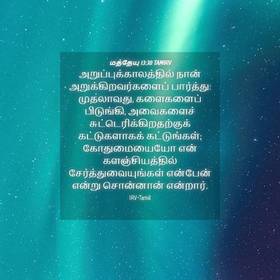 Picture 04 - மத்தேயு 13:30 TAMIRV -  - Bible Verse Picture