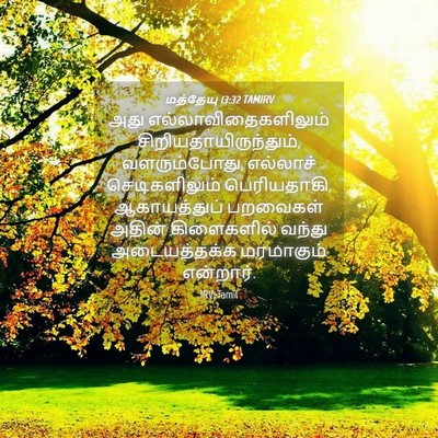 Picture 04 - மத்தேயு 13:32 TAMIRV - அது - Bible Verse Picture