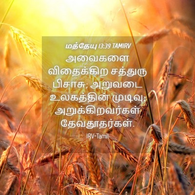 Picture 04 - மத்தேயு 13:39 TAMIRV - அவைகளை விதைக்கிற - Bible Verse Picture