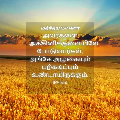 Picture 04 - மத்தேயு 13:42 TAMIRV - அவர்களை - Bible Verse Picture