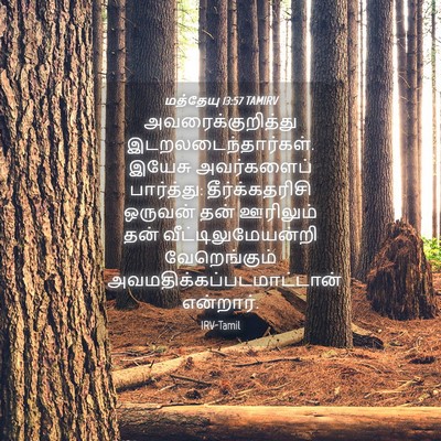 Picture 04 - மத்தேயு 13:57 TAMIRV - அவரைக்குறித்து - Bible Verse Picture