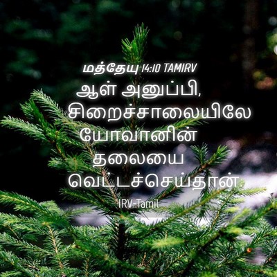 Picture 04 - மத்தேயு 14:10 TAMIRV - ஆள் அனுப்பி, - Bible Verse Picture
