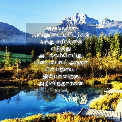 Picture 04 - மத்தேயு 14:12 TAMIRV - அவனுடைய சீடர்கள் - Bible Verse Picture