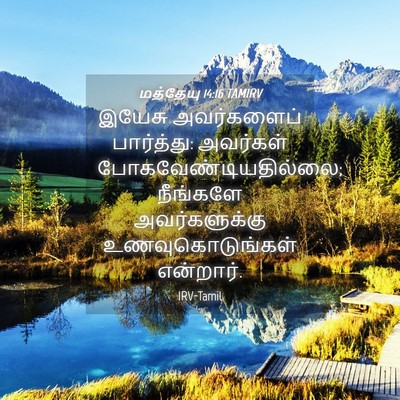 Picture 04 - மத்தேயு 14:16 TAMIRV - இயேசு அவர்களைப் - Bible Verse Picture