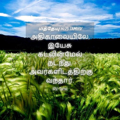 Picture 04 - மத்தேயு 14:25 TAMIRV - அதிகாலையிலே, - Bible Verse Picture